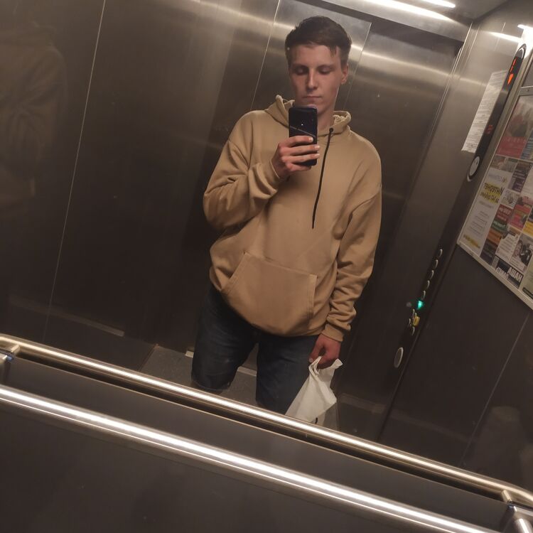  36575310  , 22 ,    