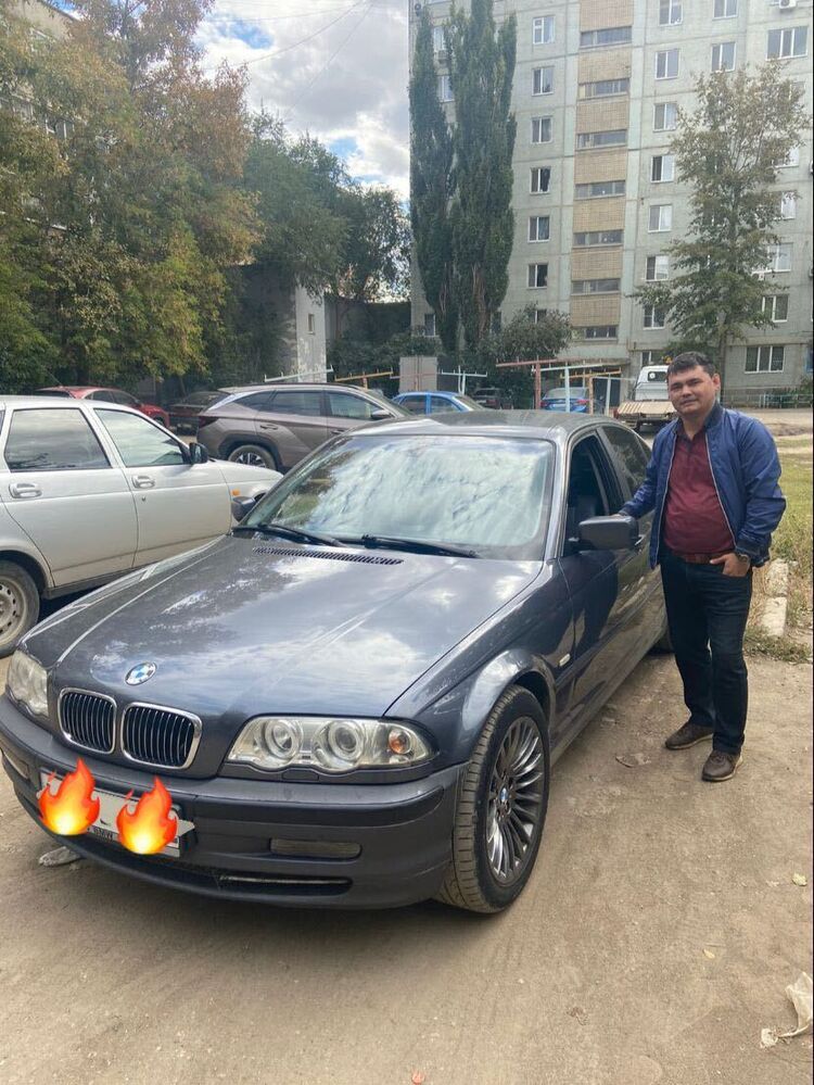  31405460  , 43 ,    