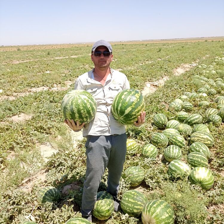  27557980  Ovlamurod, 38 ,    