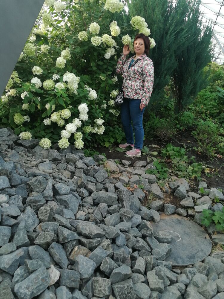 ���������� ������, ���� ������� ����, 43 ����, ������������ ��� ������, ����� � ���������