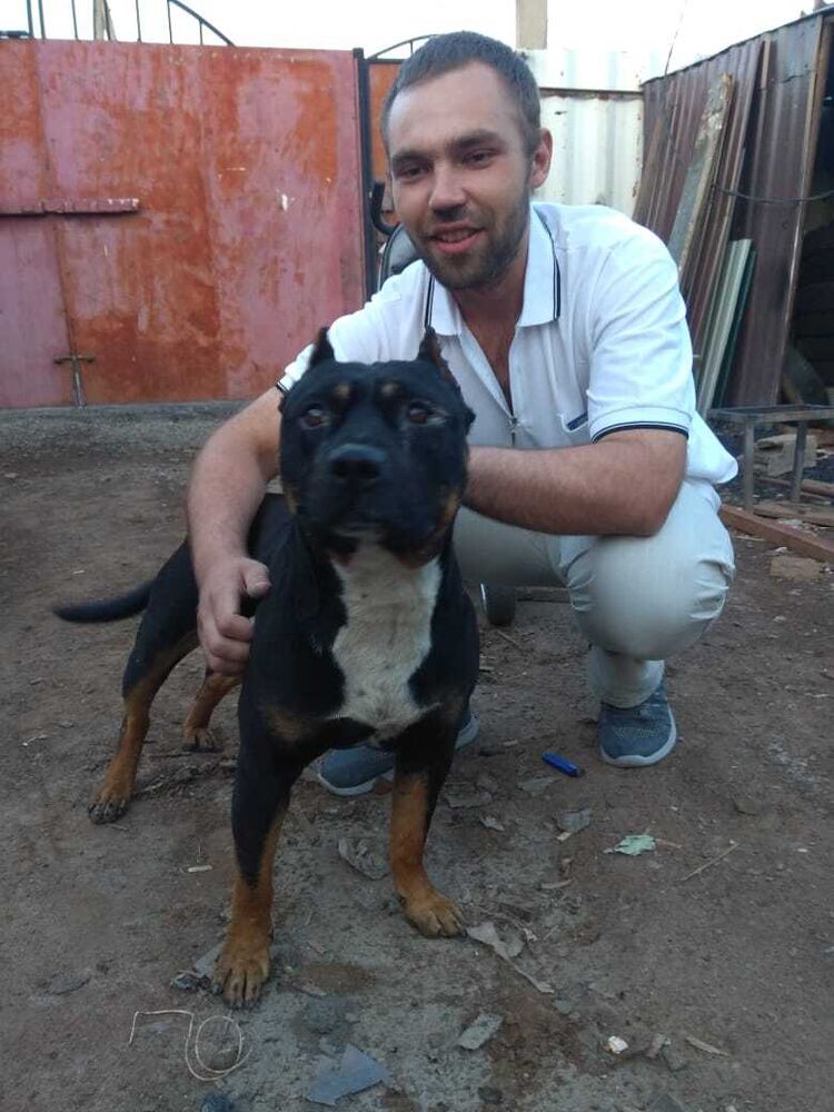 ���������� ��������, ���� ������� ����, 35 ���, ������������ ��� ������, ����� � ���������, c�������� ���������