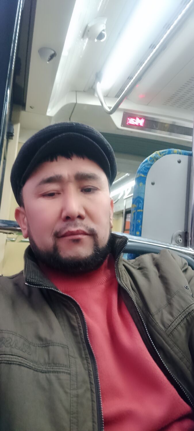 ���� 50218740 ������� ������, 38 ���, ���� ���������� � ������