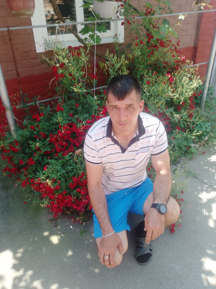  53267450  , 36 ,    