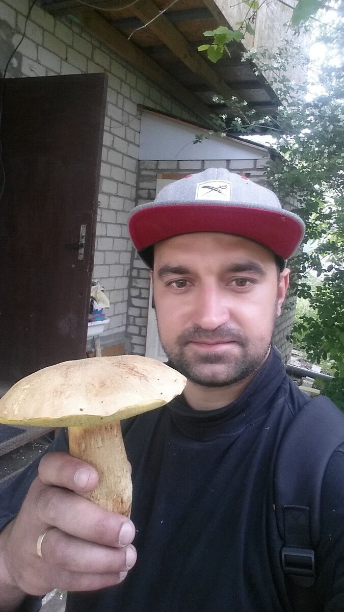  ,   Bajik, 38 ,   ,   , c 