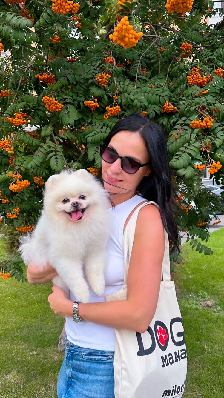  54528180  Svet, 39 ,    