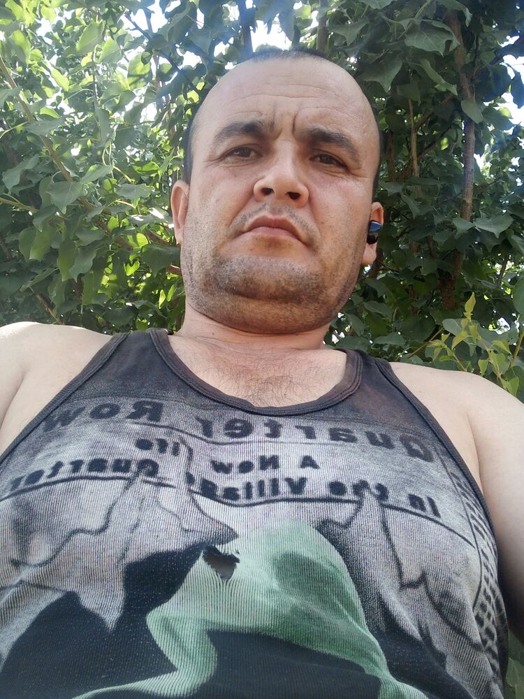  44702780  , 40 ,    