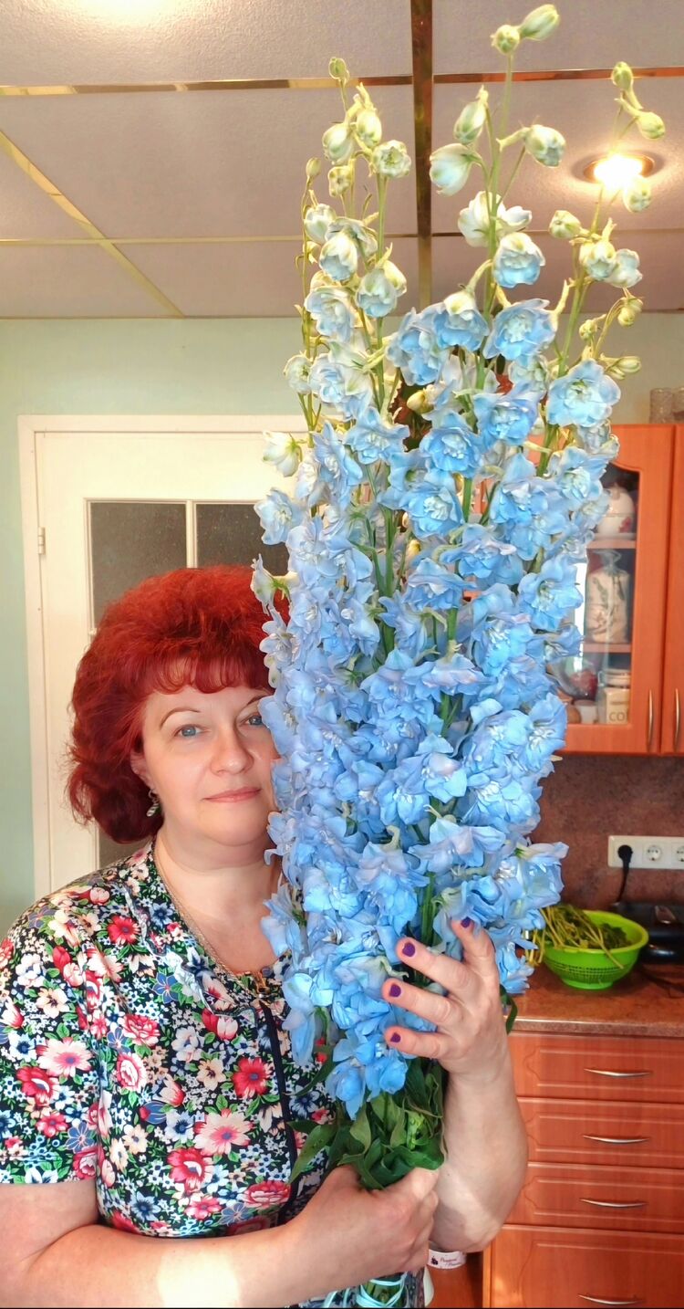  ,   Viktoria, 56 ,     , c 