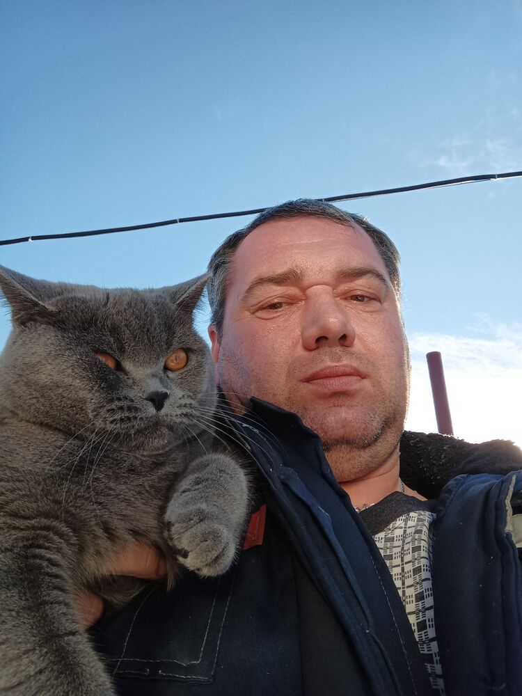 ���������� ���������� �����, ���� ������� �������, 47 ���, ������������ ��� ������, ����� � ���������