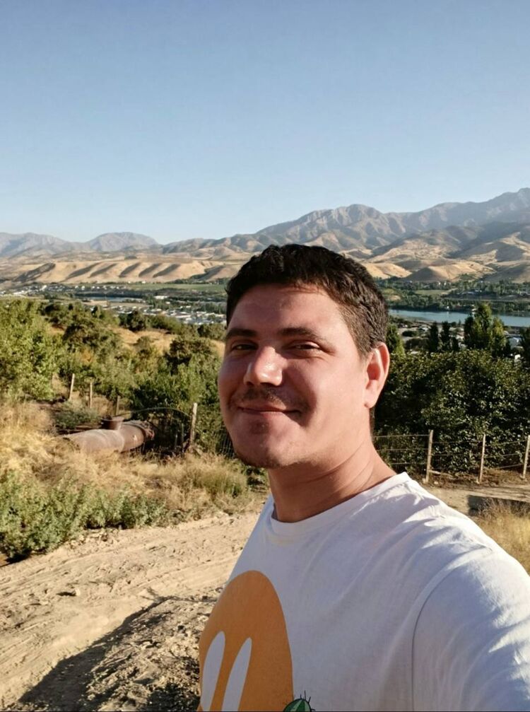 ���� 54955990 ������� Volf, 31 ���, ���� ���������� � ����