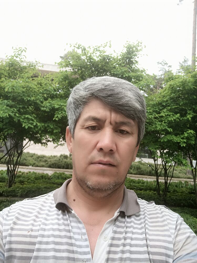 ���� 26849430 ������� ����� �����, 44 ����, ���� ���������� � ������