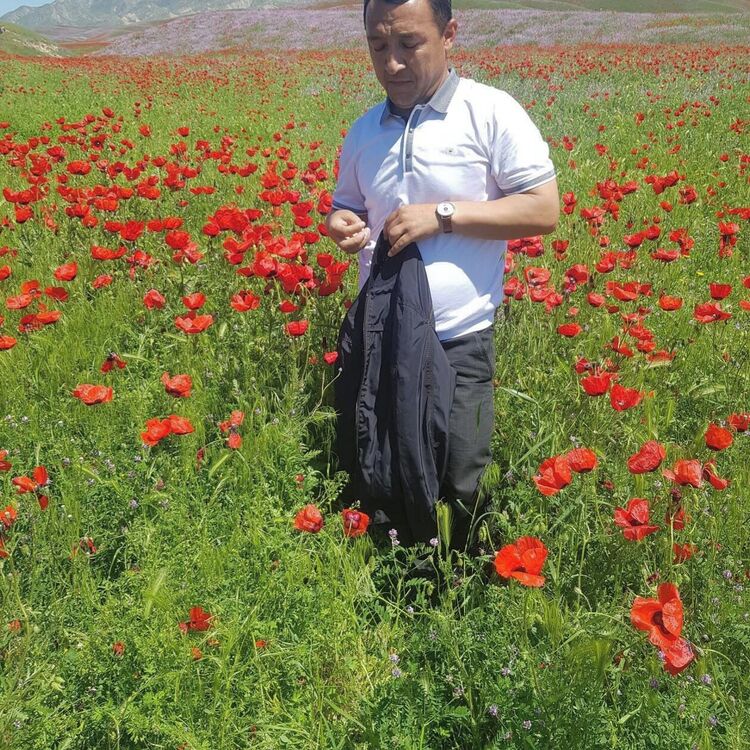 ���� 28542920 ������� ��������, 48 ���, ���� ���������� � ������