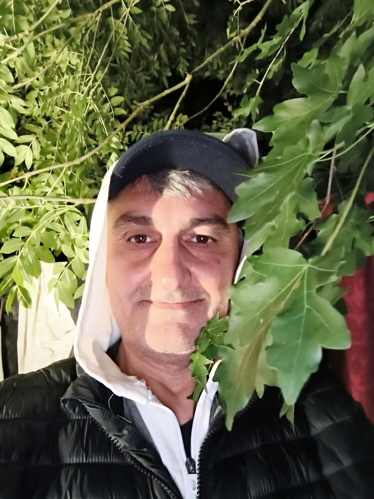 ���������� �������, ���� ������� ����������, 43 ����, ������������ 