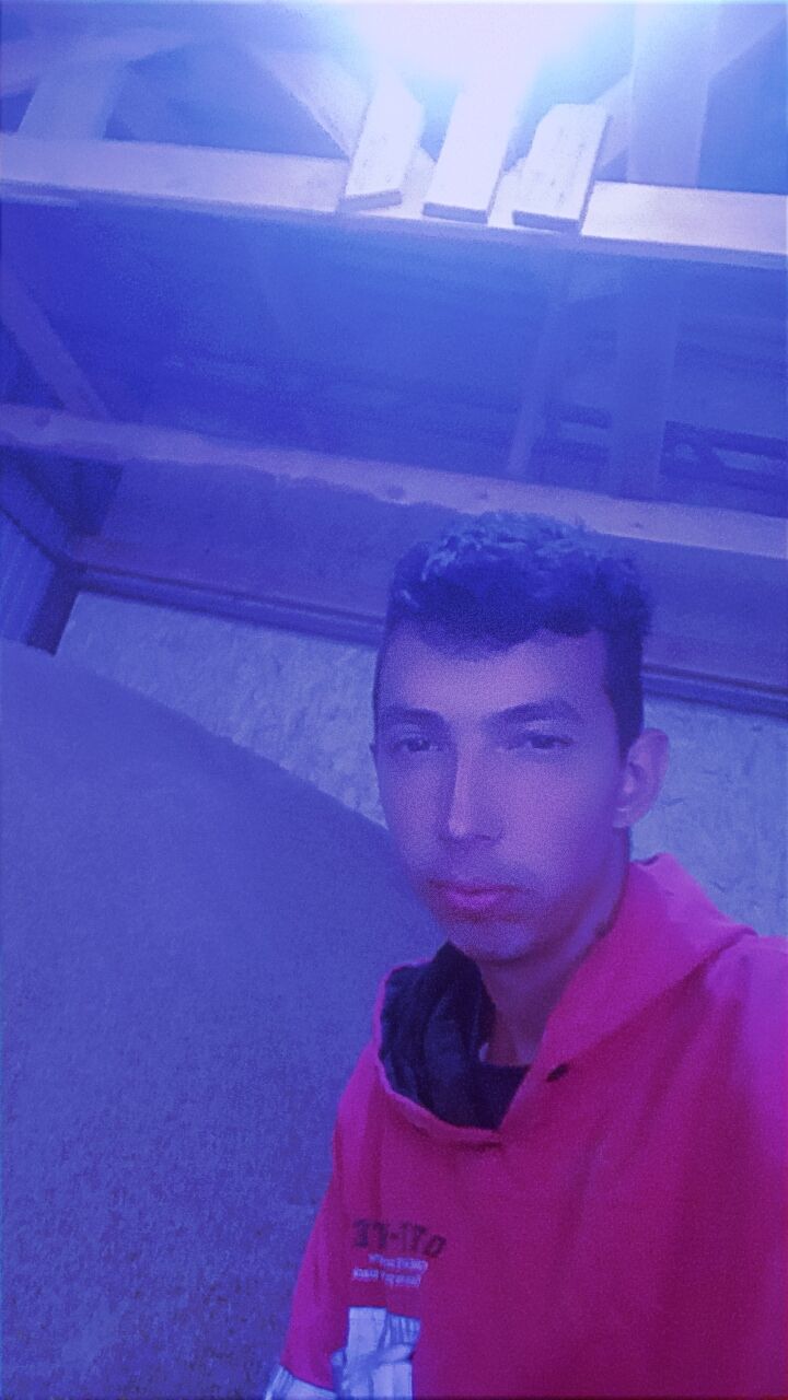  43955260  , 29 ,    