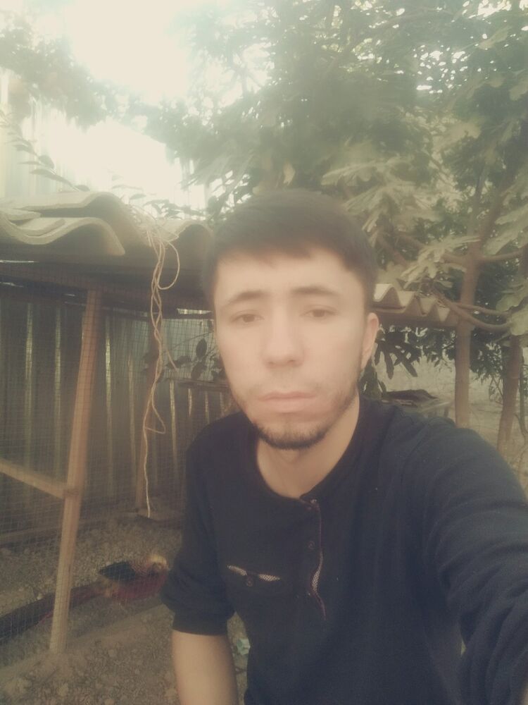 ���������� �������, ���� ������� Sardor, 35 ���, ������������ ��� ������, ����� � ���������, c�������� ���������, ���������