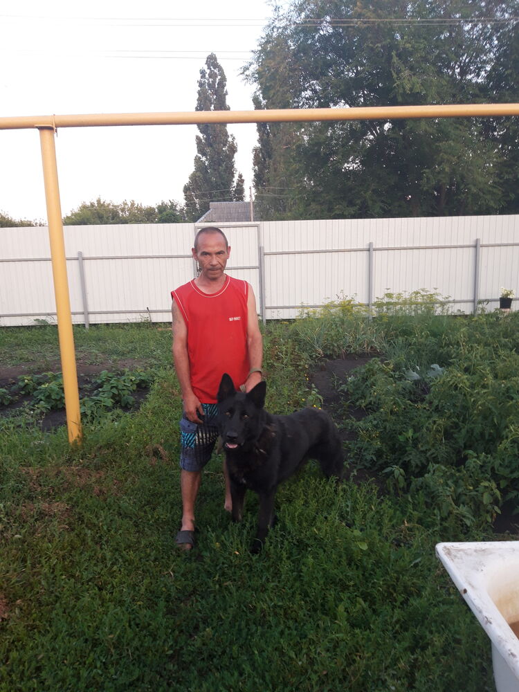 ���� 27774690 ������� �������, 53 ����, ���� ���������� � ��������