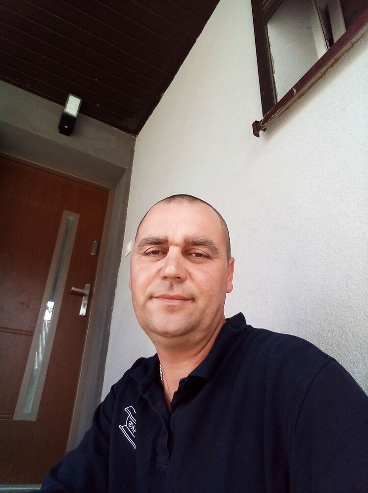  28981870  , 43 ,    
