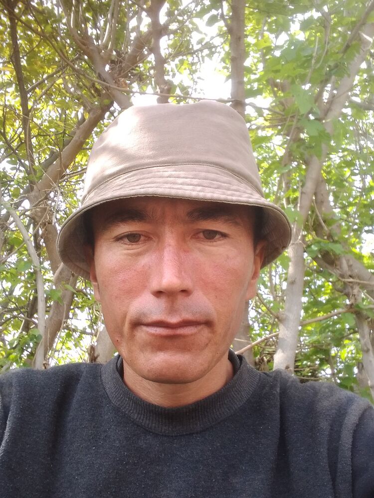 ���� 33767470 ������� ������, 37 ���, ���� ���������� � �����-����������