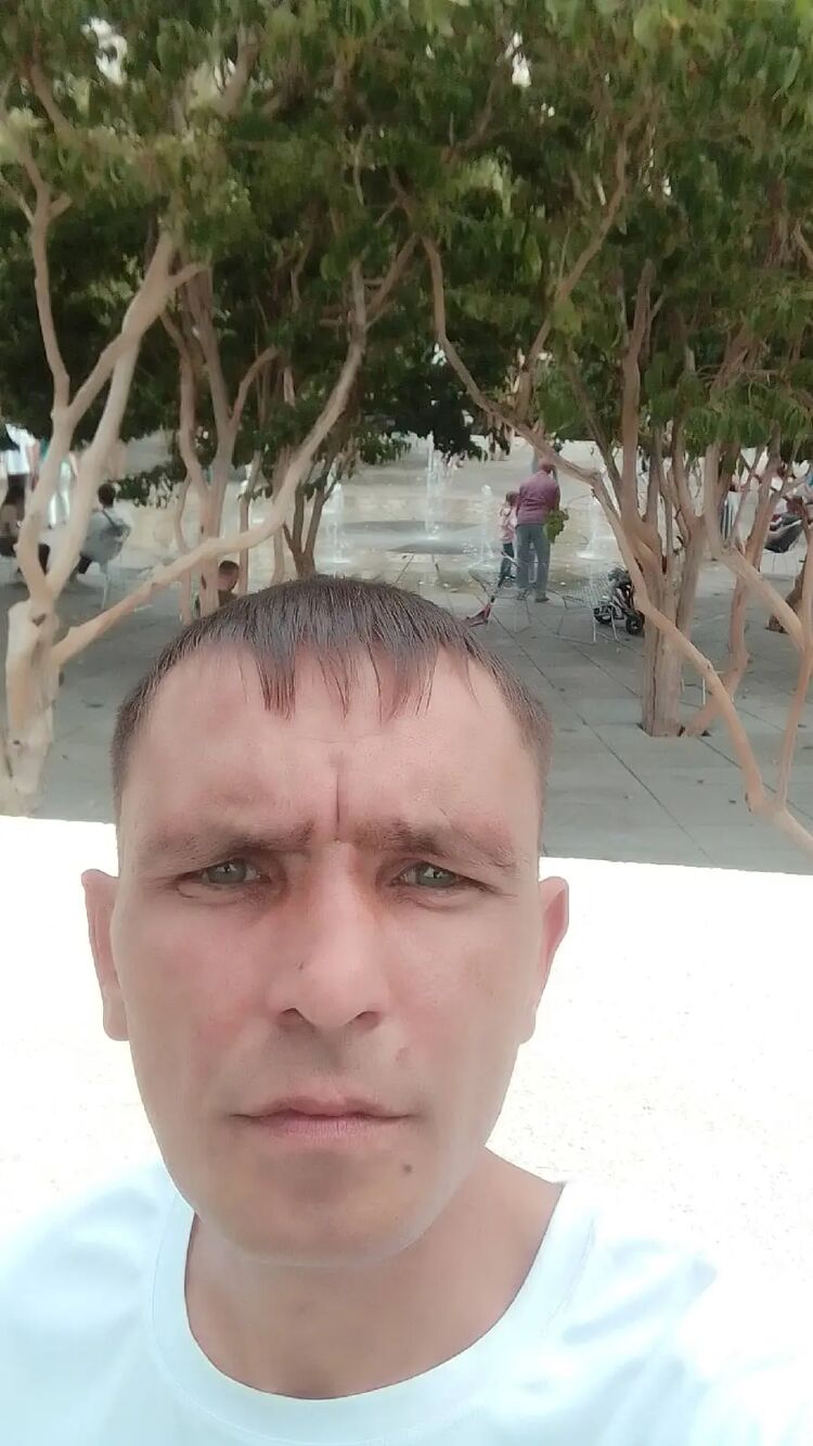  42452580  , 35 ,    -