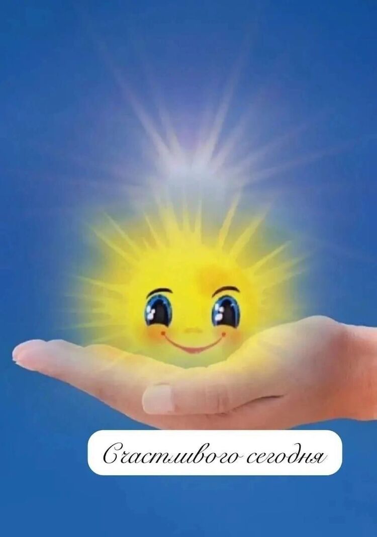  49656620  , 57 ,    