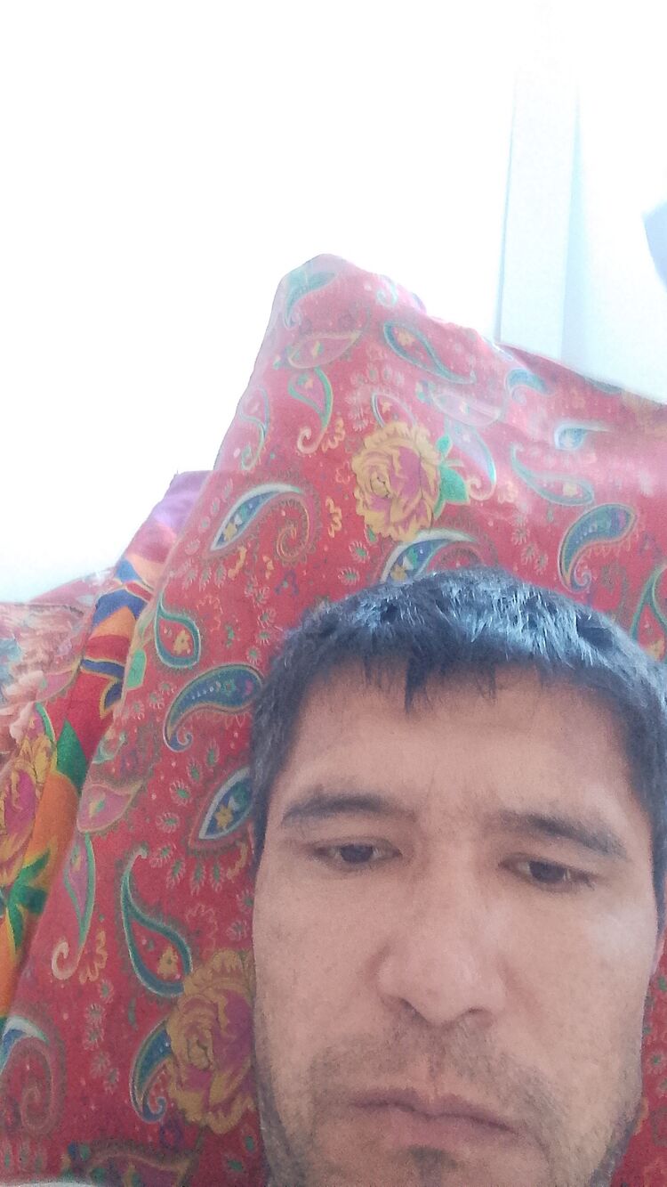  49827970  , 41 ,    