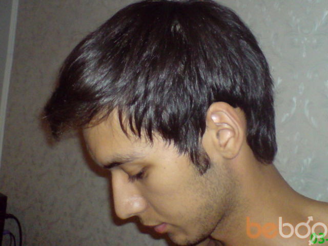 ���������� �������, ���� ������� Zohid, 38 ���, ������������ ��� ������, ����� � ���������, c�������� ���������, ���������