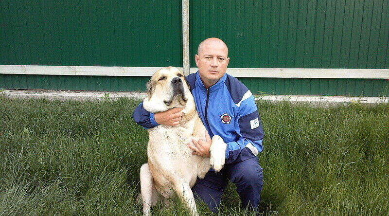 ���������� �����, ���� ������� ����, 52 ����, ������������ ��� ������, ����� � ���������, c�������� ���������