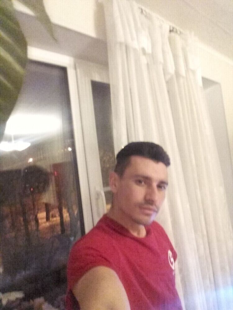  21935340  , 31 ,    