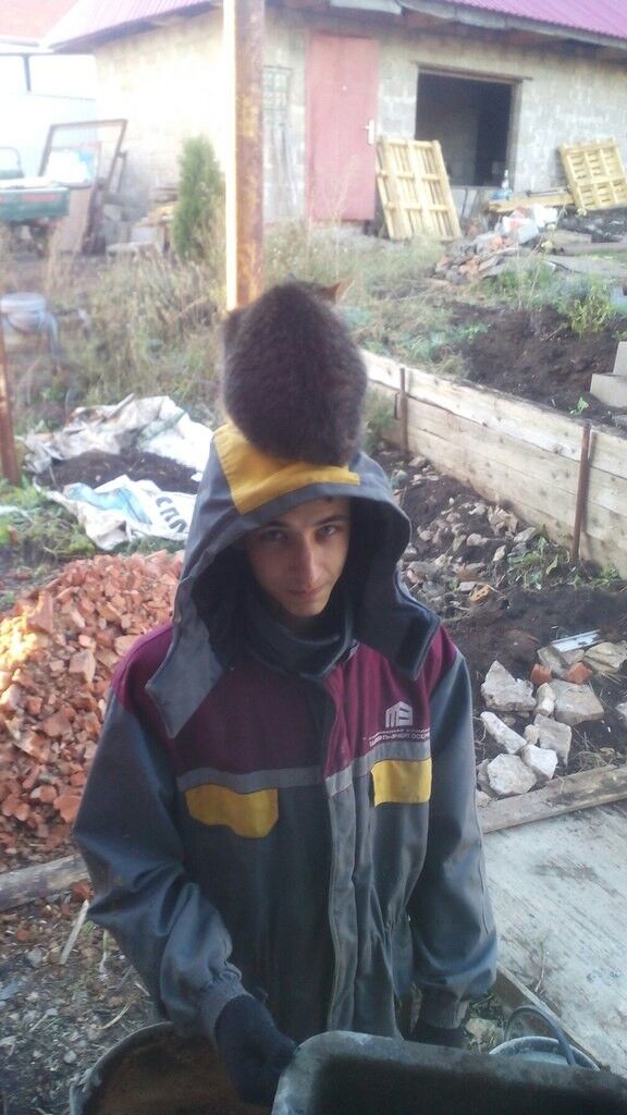 ���������� �����������, ���� ������� �����, 31 ���, ������������ ��� ������