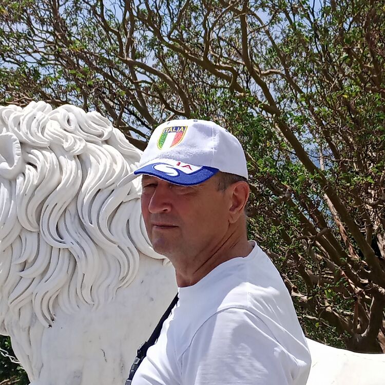 ���� 54908950 ������� ����, 55 ���, ���� ���������� � ������