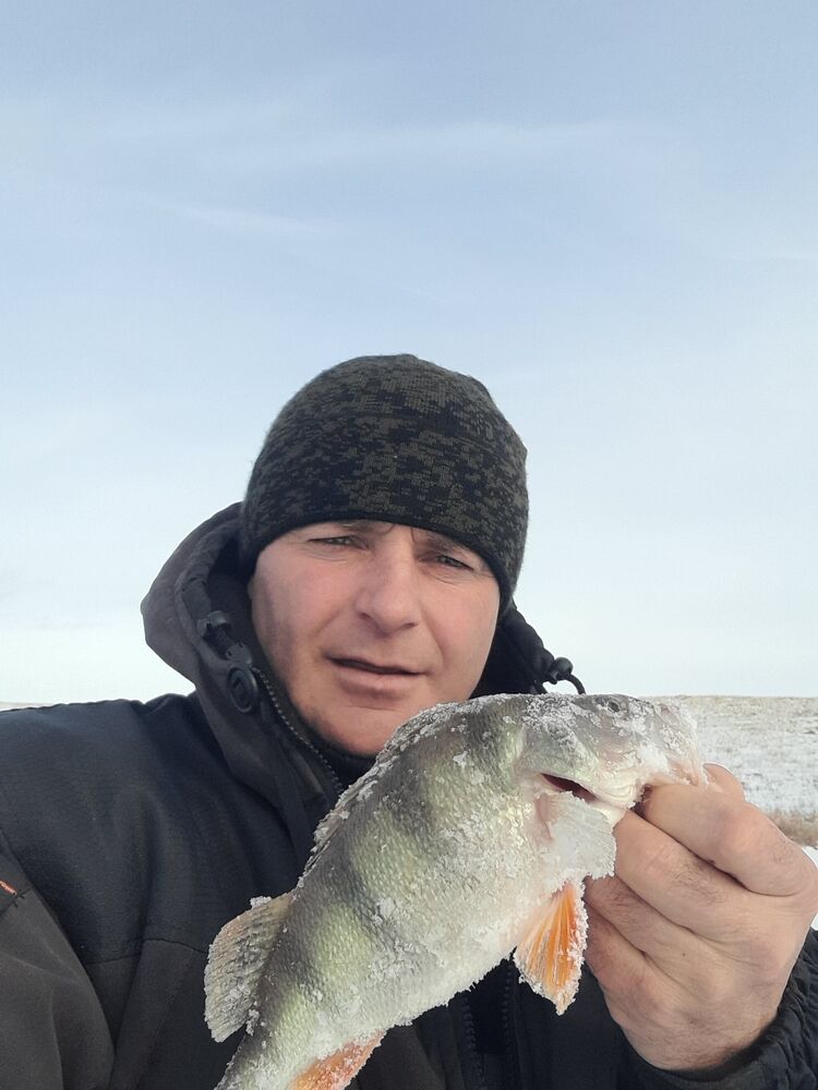 ���� 51098290 ������� ���������, 46 ���, ���� ���������� � ���������