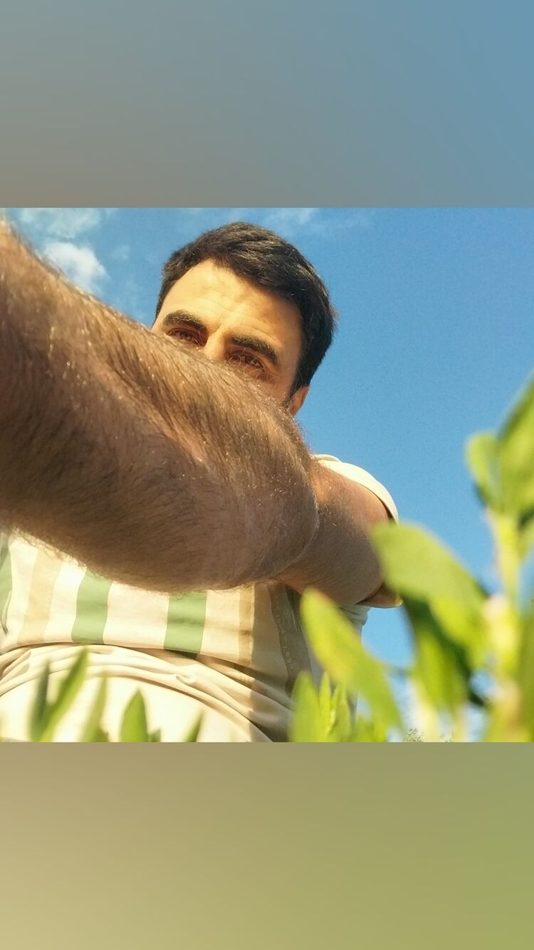 ���������� ���������, ���� ������� �������, 31 ���, ������������ ��� ������, ����� � ���������