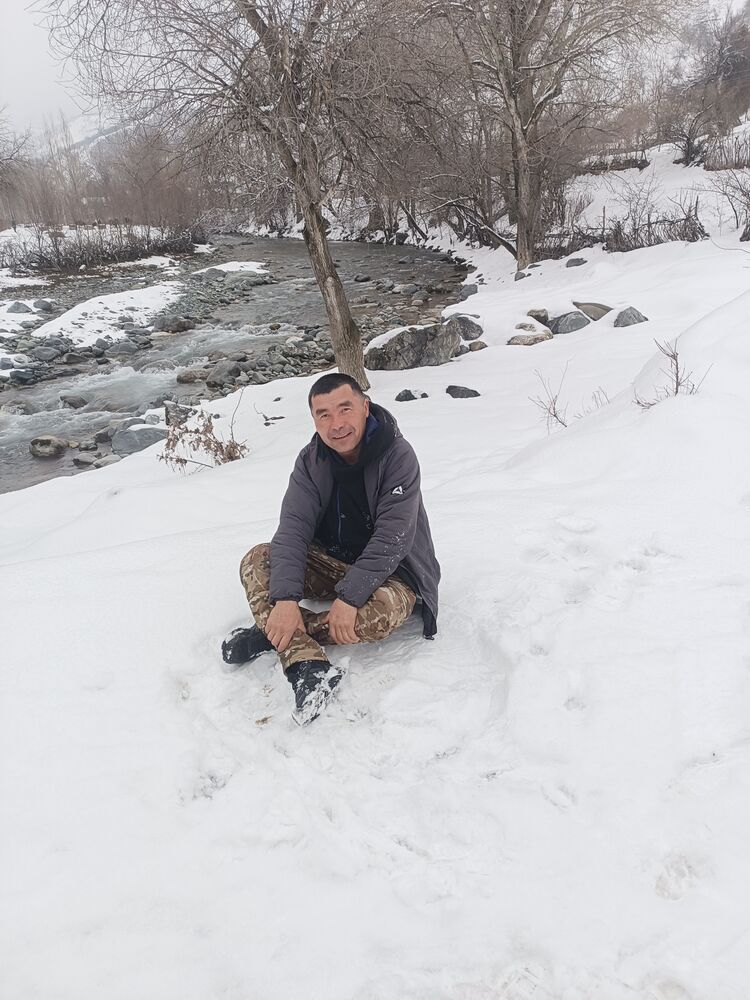 ���� 56160290 ������� �������, 38 ���, ���� ���������� � �������