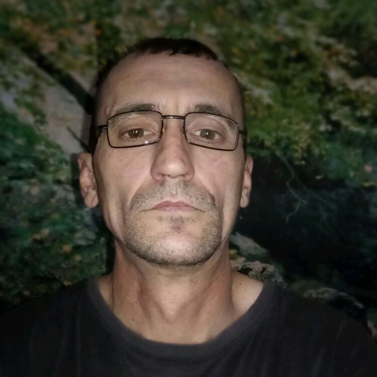  40039600  , 50 ,    