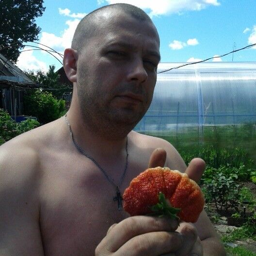 ���� 6824630 ������� �������, 45 ���, ���� ���������� � �����-����������