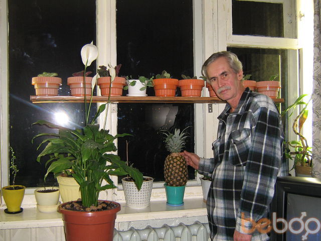  ,   Fehev, 76 ,   