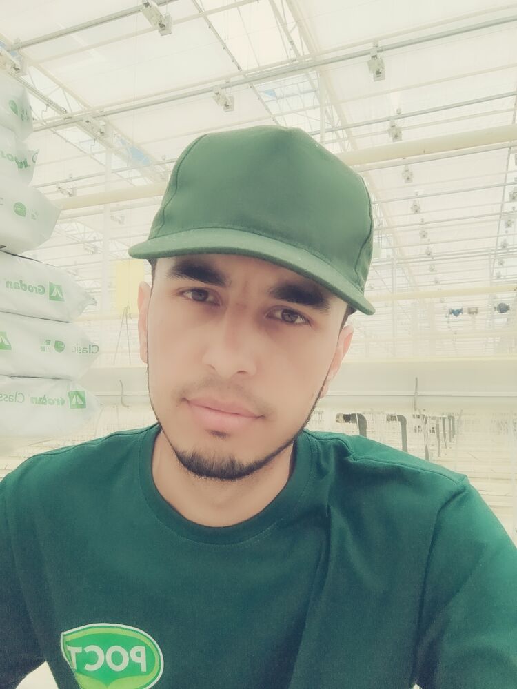 ���� 27988080 ������� ���, 27 ���, ���� ���������� � ������