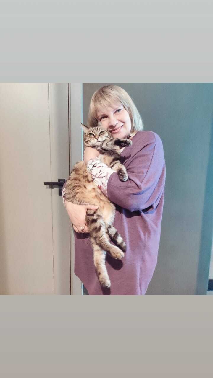  54088230  , 58 ,    -