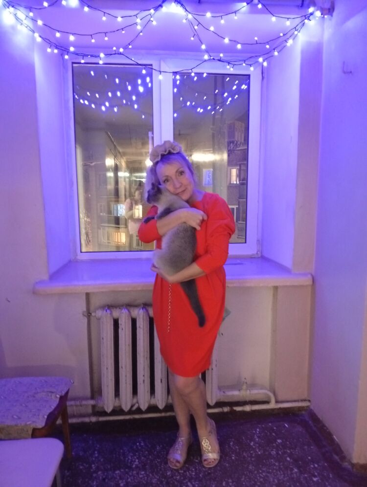 ���� 55436170 ������� �������, 50 ���, ���� ���������� � ������