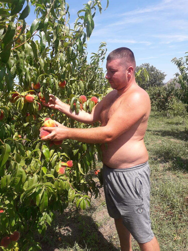 ���������� ��������, ���� ������� ����, 31 ���, ������������ ��� ������, ����� � ���������