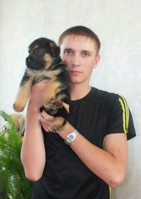 ���������� �����������, ���� ������� �����, 37 ���, ������������ ��� ������, ����� � ���������, c�������� ���������