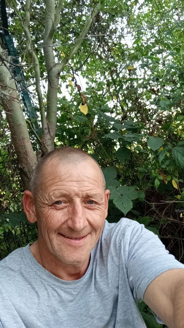  52862420  , 46 ,    