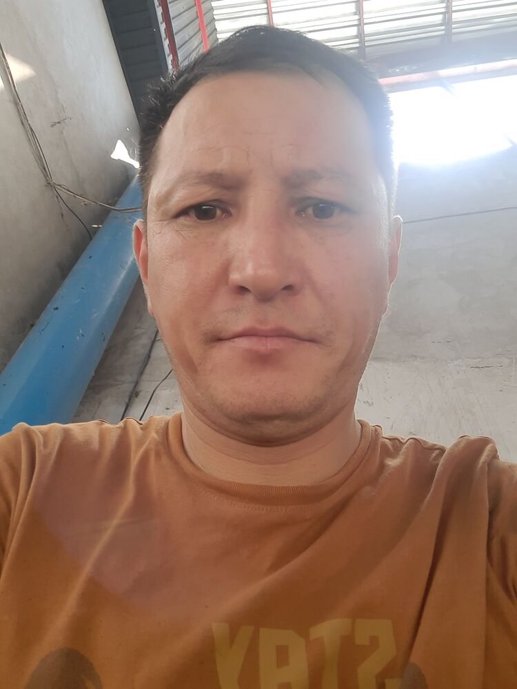  36446850  , 43 ,    