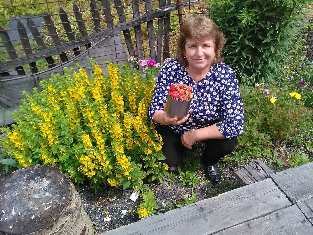 ���� 53064760 ������� �������, 65 ���, ���� ���������� � ����������