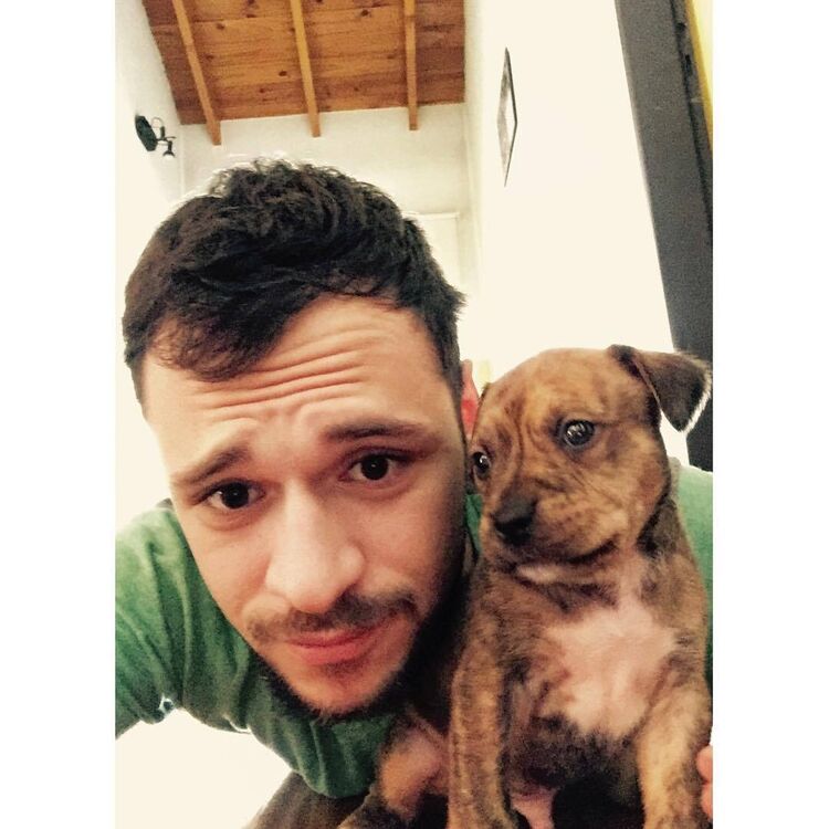 ���� 54971960 ������� ���������, 33 ����, ���� ���������� � ������