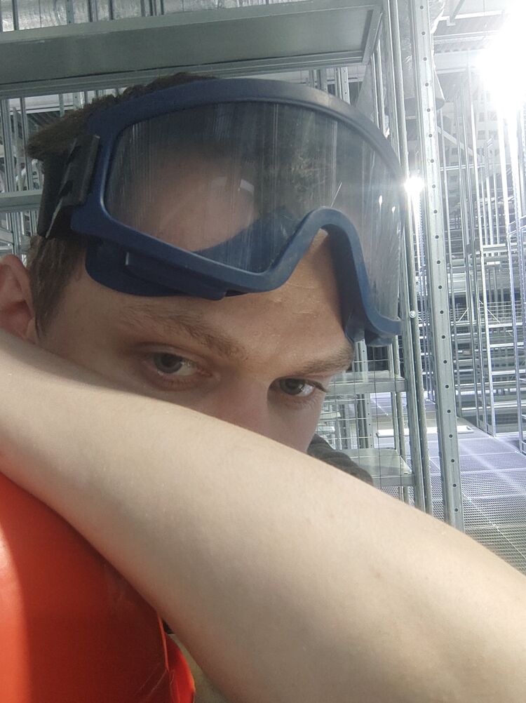  44664040  Mifune, 25 ,    