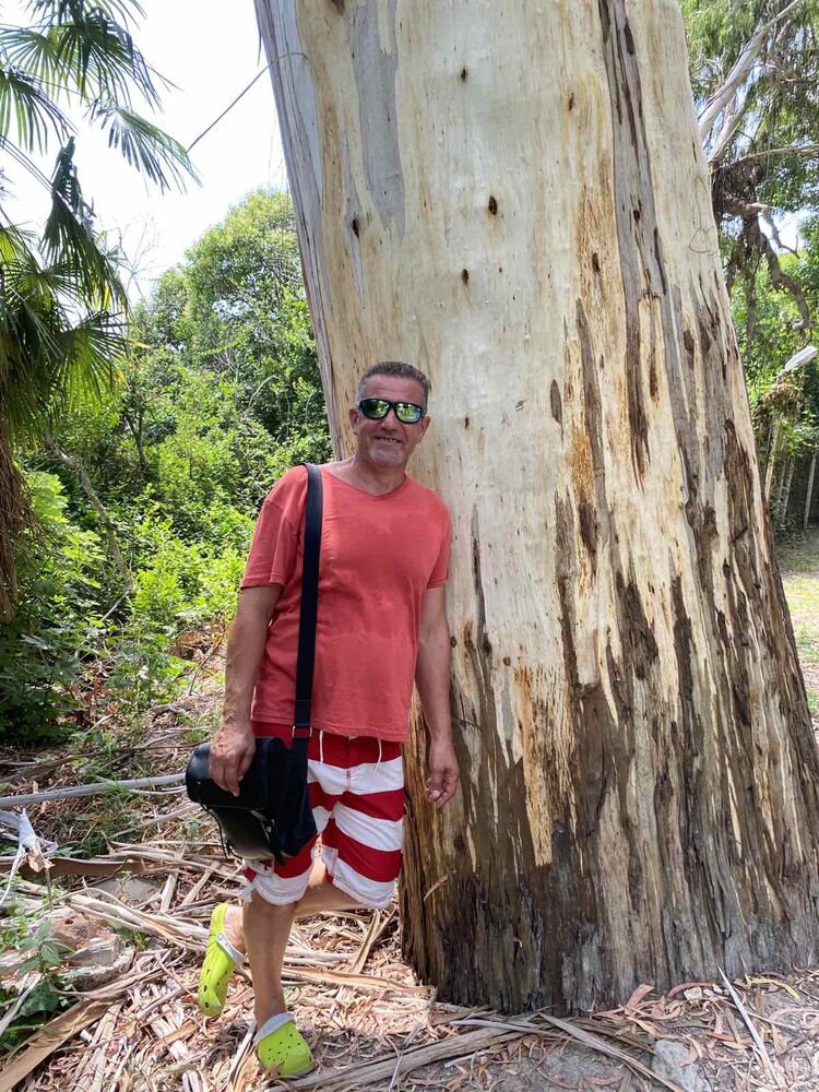 ���� 28824790 ������� �����, 49 ���, ���� ���������� � ��������