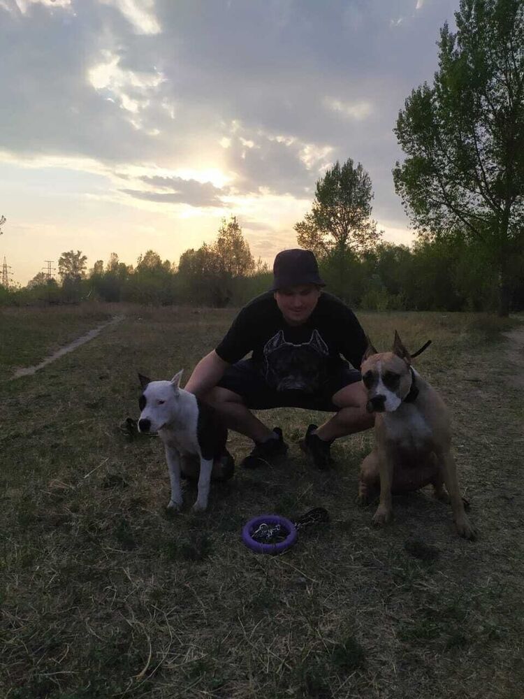 ���� 26462390 ������� �����, 36 ���, ���� ���������� � �����������