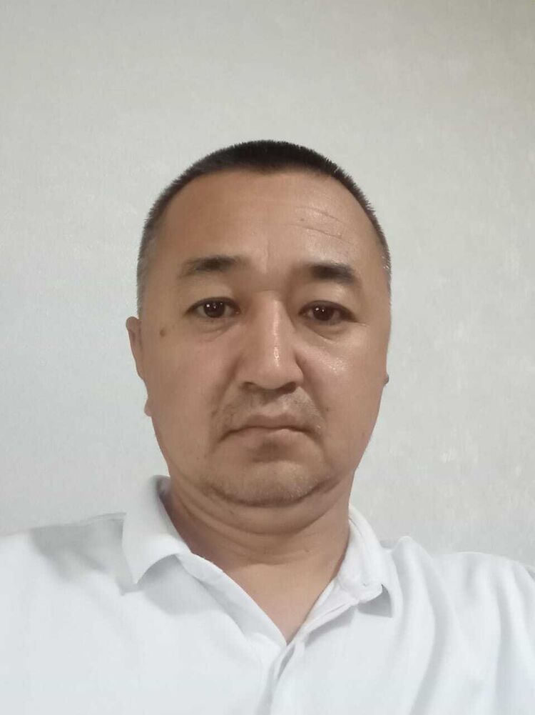  53252410  , 41 ,    -