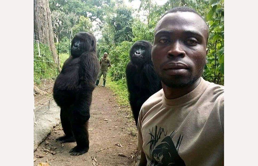 ���� 45281950 ����� �����, 22 ����, ���� ���������� � �����-����������