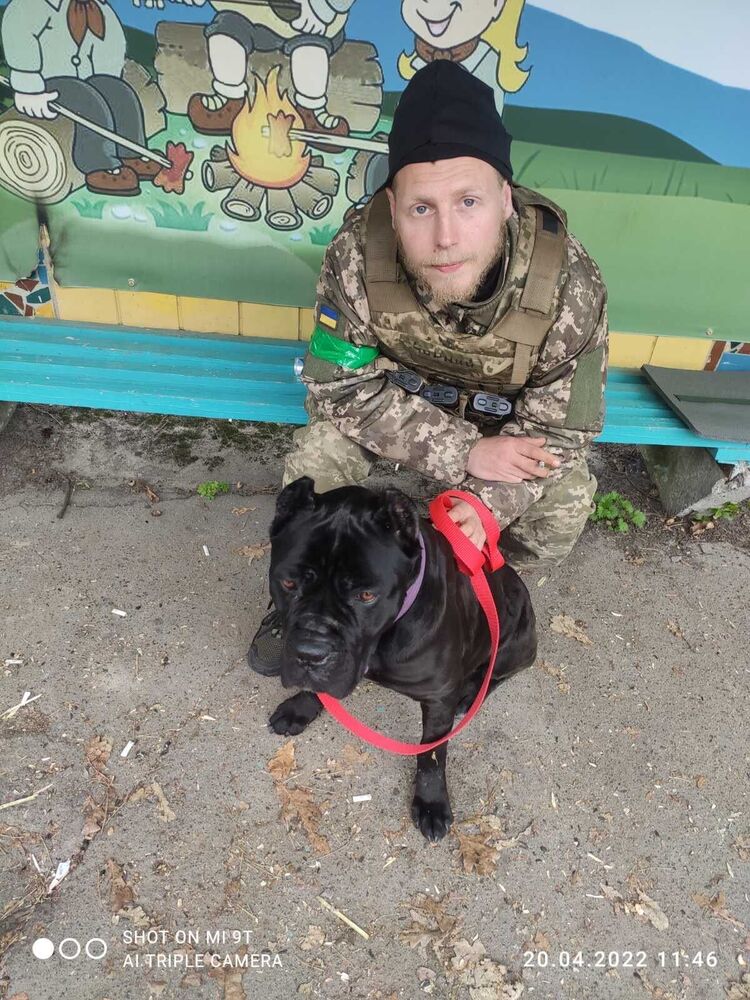 ���������� ����, ���� ������� ����, 32 ����, ������������ ��� ������, ����� � ���������